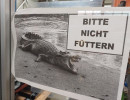 schulthess